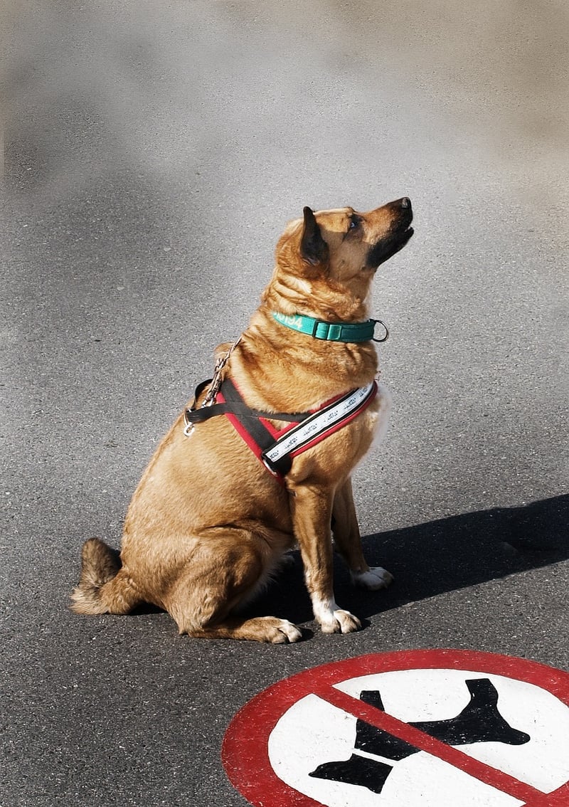 Robot Uprising Chronicles